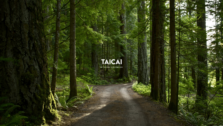 taicai