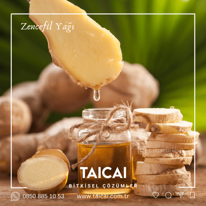 taicai zencefil yağı kremi