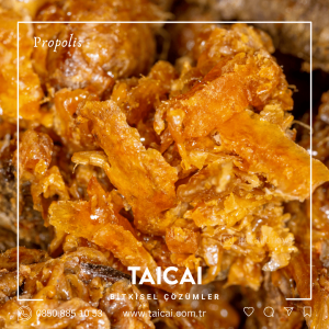 taicai Propolis Kremi