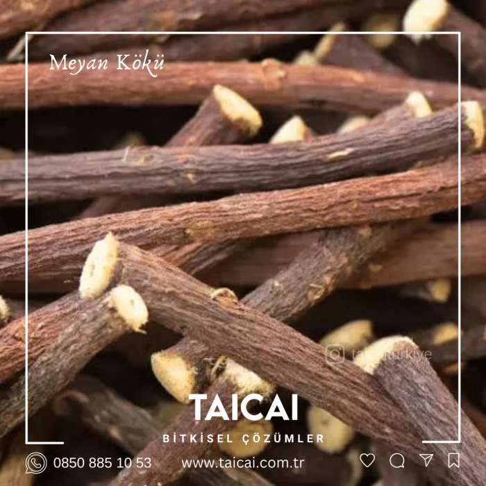 taicai meyan kökü kremi